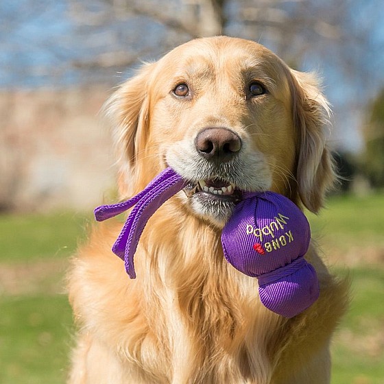 ���� ���� ����, ���� XL, ����� ����� ����   KONG Wubba
