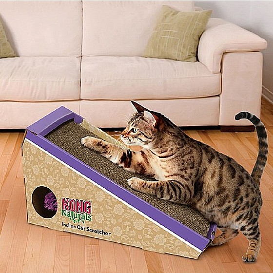 ���� ���� ����� ����� ����� ���� �� �����  KONG Cat Active Scratch Apple