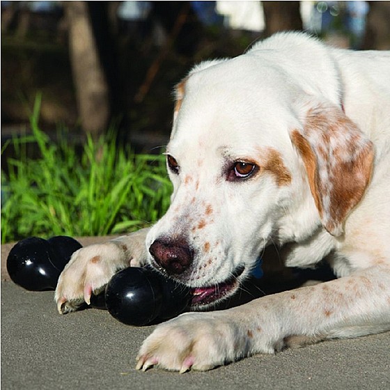 ���� ��� �� ��� KONG Goodie Bone with Rope 