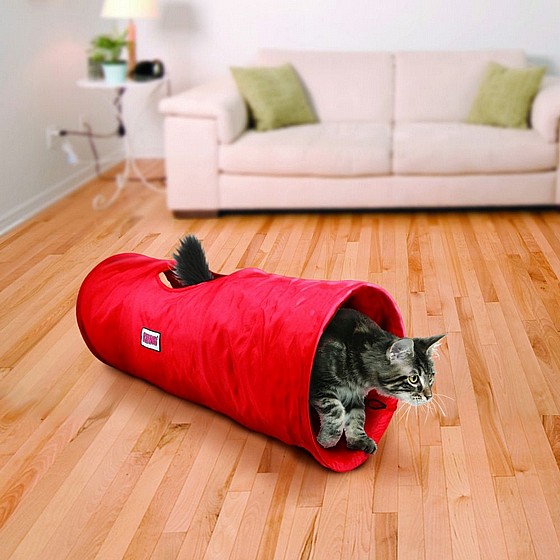 ���� ���� ����������� ���� ������� , ���� ���� ����� �� ����� ��  KONG Cat Active CrissCross