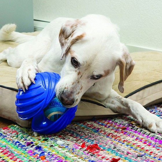 ���� ���� ����,  ���� L, ���� ����  ������   KONG  Wrapz Ball