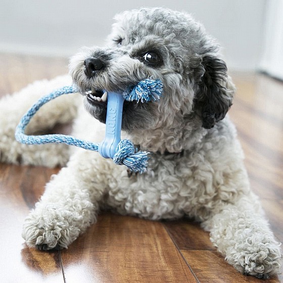 ���� ��� �� ��� M ������  KONG Goodie Bone with Rope 