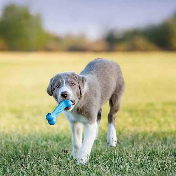 ���� ��� ���� ������� KONG Extreme Goodie Bone 