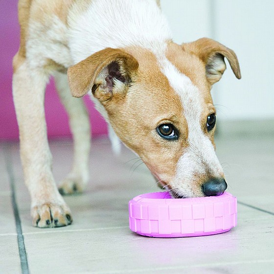 ����� ���� ������ ������,  ���� M/L, ���� ������ �������  KONG  Puppy Tires