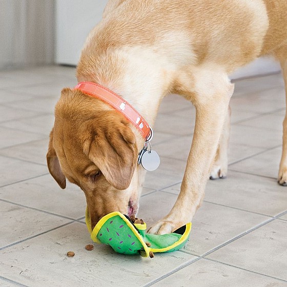 ���� ���� ����� �������, ���� M, ���� ������ ����� ������  KONG Ballistic Hide �n Treat