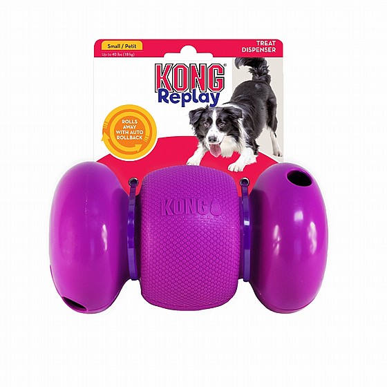 ���� ������ ���� S, ���� ������ ����� ������  KONG Replay
