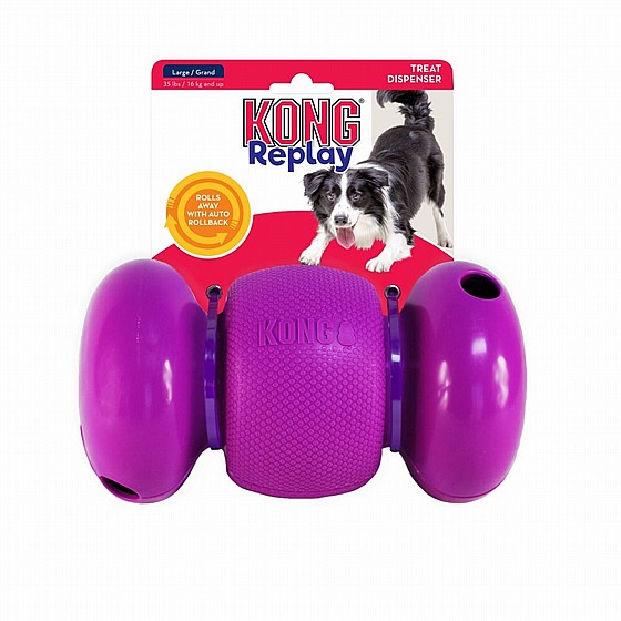 ���� ������ ���� S, ���� ������ ����� ������  KONG Replay