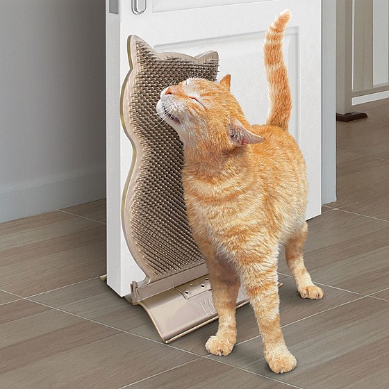 ���� ���� �����, ����� ����� �����   KONG Connects Kitty Comber 