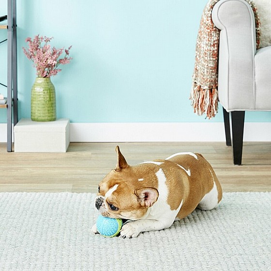 ���� ���� ���,  ���� L, ����� ������ ������ ��������  KONG  Corestrength Ball 