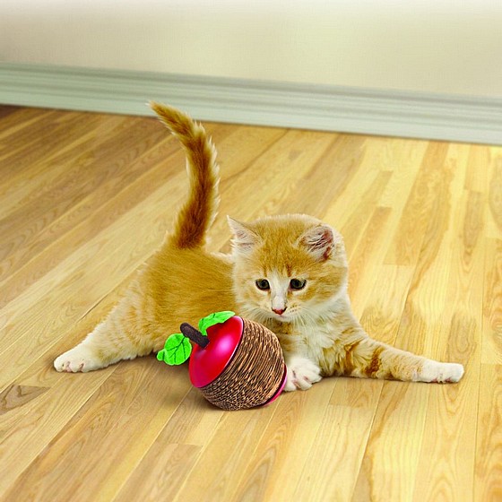 ���� ���� ���� �� ����� �������, ���� ������� �����  KONG Pull-A-Partz Bugz