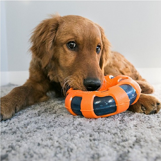 ���� ���� ����,  ���� S, ����� �����  Kong  Wrapz Ring Toy