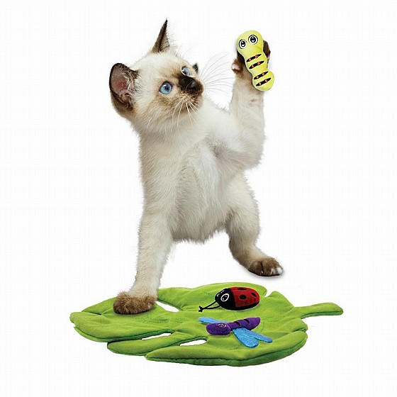 ���� �������� ��� �� ���, ����� ����� �� ����� KONG Flingeroo CATerpillar