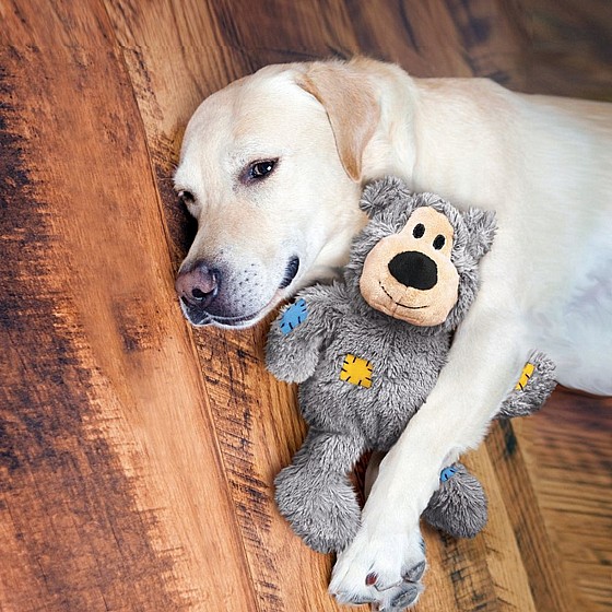 ���� ���� �� , ���� XS, ����� �� ����� ������� ������� ����� ��������  KONG Wild Knots Bears  