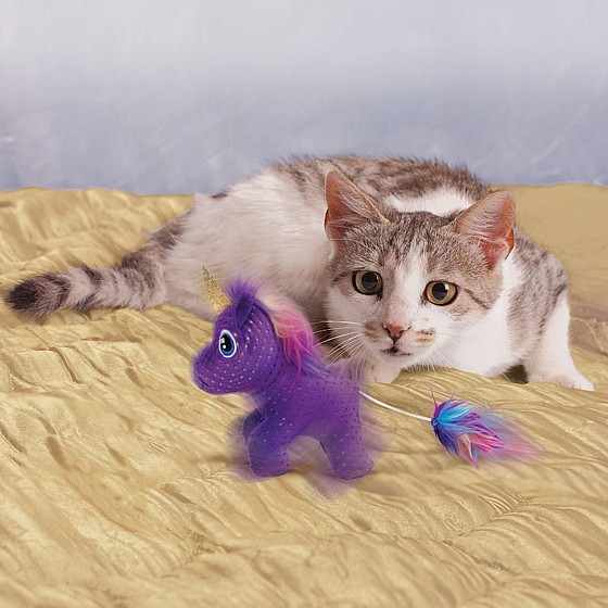 ����� ���� �� ��� ������� , ��  ����� ������  KONG Enchanted Buzzy Unicorn 