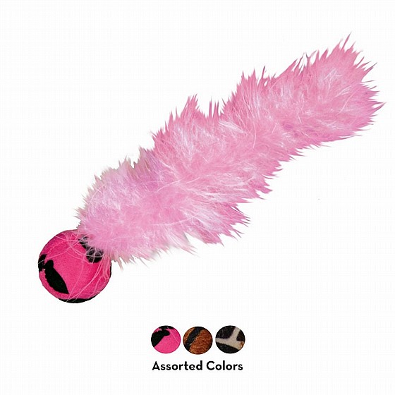 ���� ����� ���� ������� , ���� ��� �� ����� ������ ����� �����  KONG Feather Teaser 