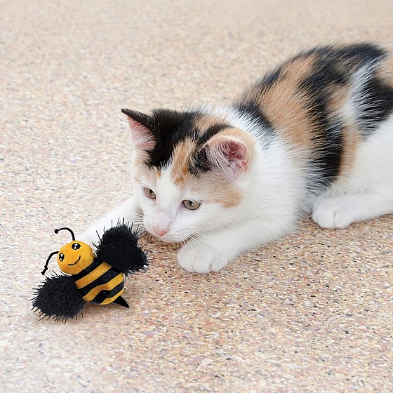 ���� ��� ���, ���� ����� ������� �������  KONG Better Buzz Bee