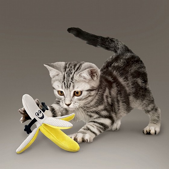 ���� ��� ���, ���� ���� ������ �������  KONG Better Buzz Banana