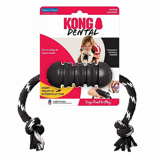 ���� ����,  ���� M, ���� ���� �� ���,   KONG  Dental