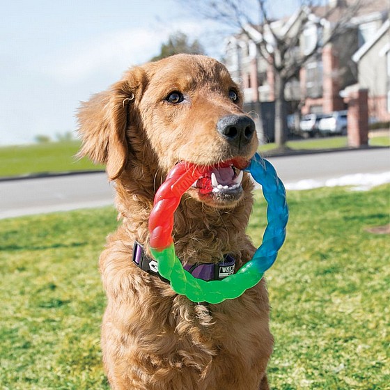 ���� ���� ����� ������, ���� M, ���� ����  ������ KONG Twistz Ball