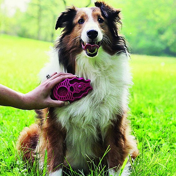 ���� ���-���� ����� ������ �����, ���� S, ��� ��� KONG Zoomgroom Raspberry 