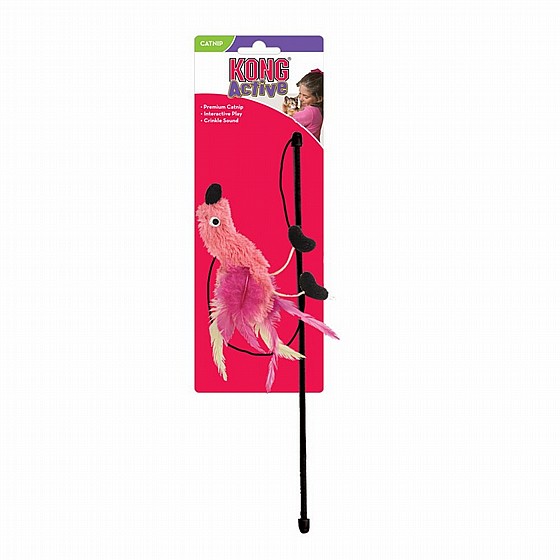 ���� ����� ���� ������� , ���� ��� �� ����� ������ ����� �����  KONG Feather Teaser 