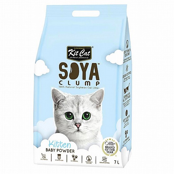��� �� ��� ���� ����� ��� 7 ���� Kit Cat