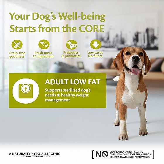 ����� ����� ��� ������ ���� ������ 10 �"� Wellness Core Pappy