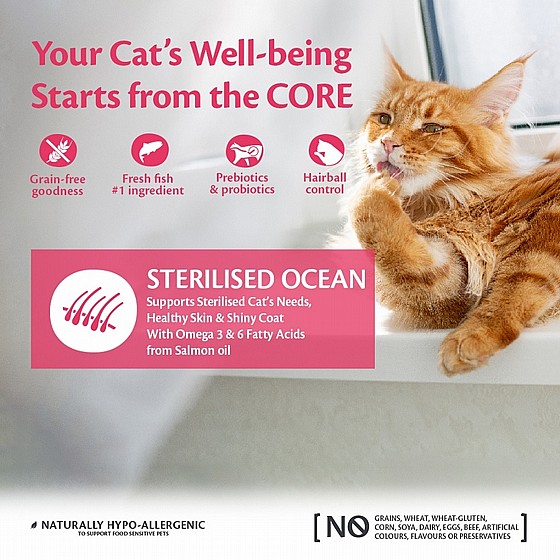 ����� ���� ������� ������� �������, ����� �����, ��� ����� 4 �"� Wellness Core Sterilized Ocean