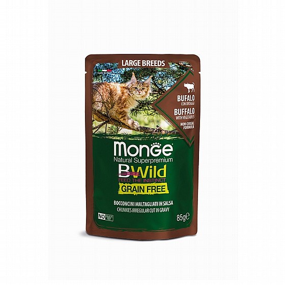 ���� ���� ���� ��� ����� ����� ������ ������ 85 ��� Monge BWild