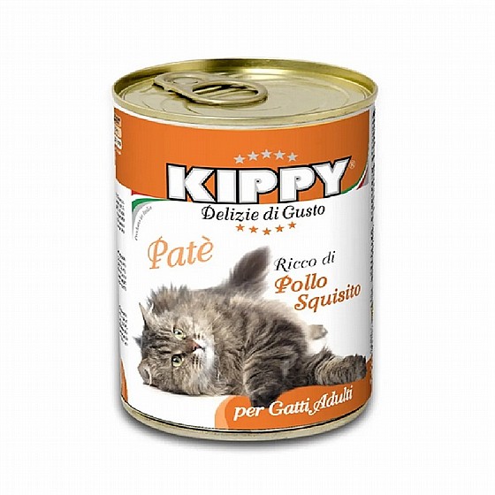  ���� ���� ��� ��� 400 ��� V.B.B Kippy
