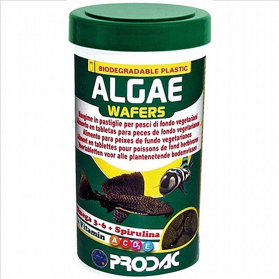 ����� ������ ������ ������ ���� 250 �"� Prodac Algae Wafers