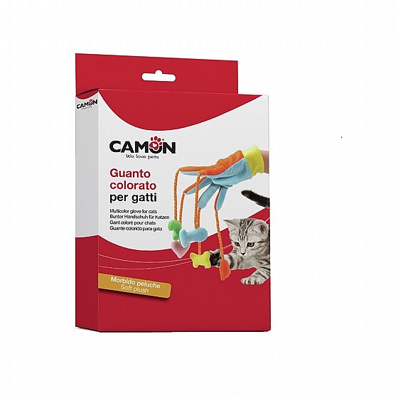 ���� ������ ����� Camon