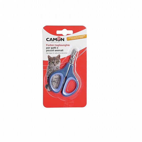 ���� ��������� ������� ����� ���� ����� - ��������, ����� ����� Camon