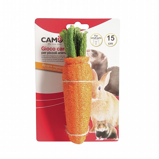����� ����� �� 12 �"� �������� Camon