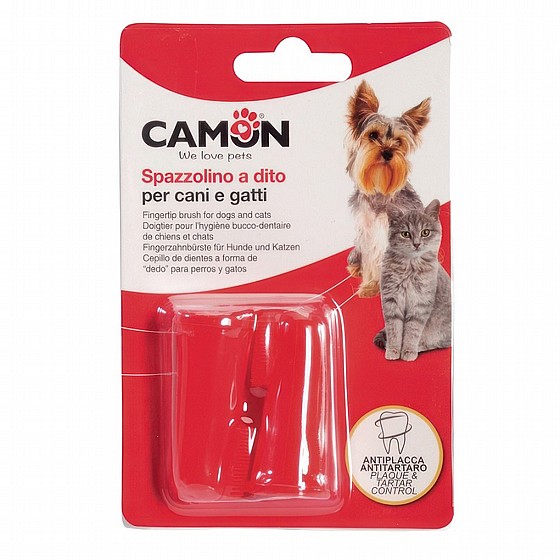 ��� ������ ������ ����� ������ ������� Camon