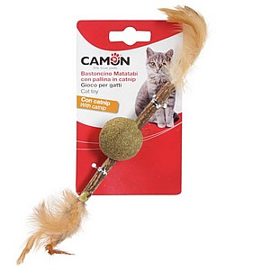 ������� ���� ������� �� ���� ����� Camon