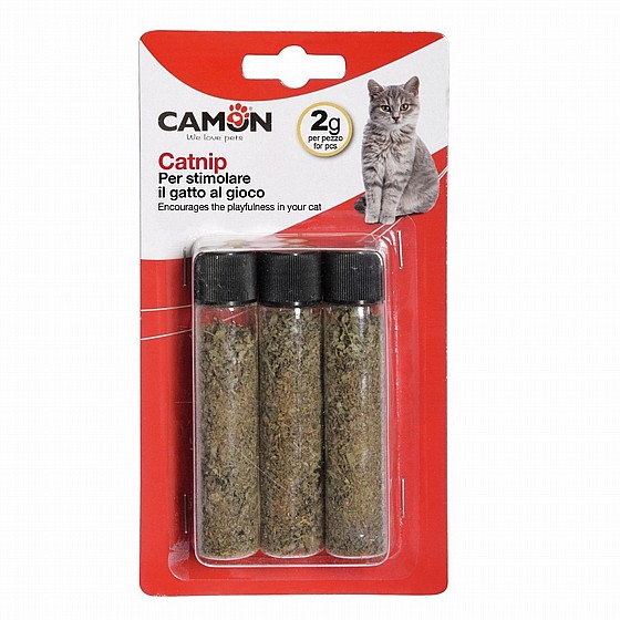 ���� 3 ������ ����� ����� �������� CAMON