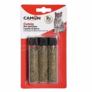 ���� 3 ������ ����� ����� �������� CAMON