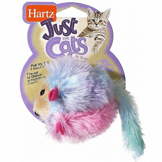 ����� ���� ���� ������ �����  HARTZ 