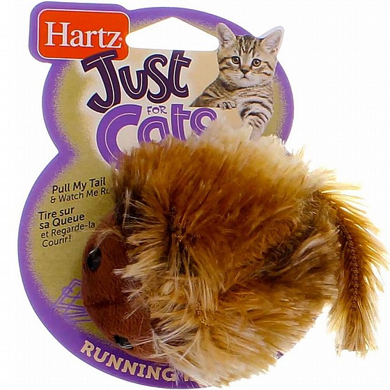 ����� ���� ���� ������ �����  HARTZ 
