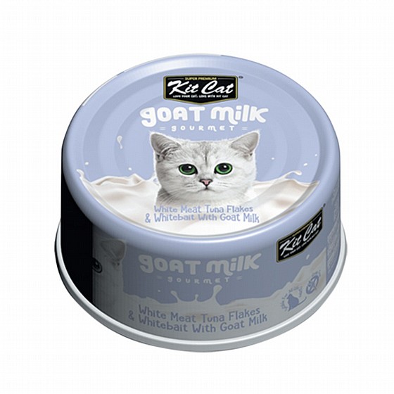 ��� �� Kit Cat ����� �� ��� ���� ���� ��� �����