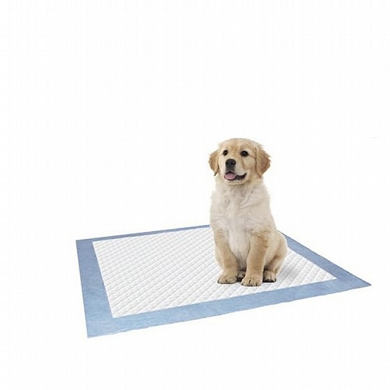 ����  PET-PAD ������ 50 ������  60*60 �� Camon