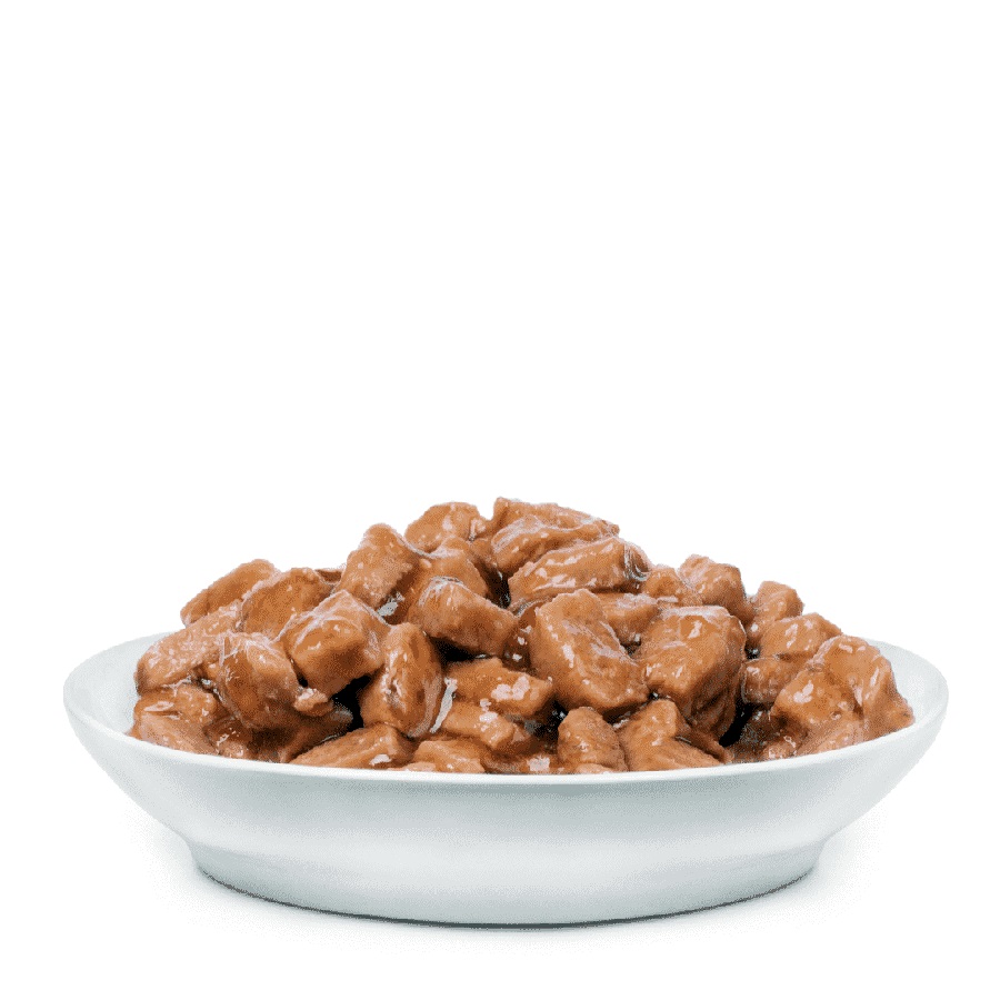 ���� ����