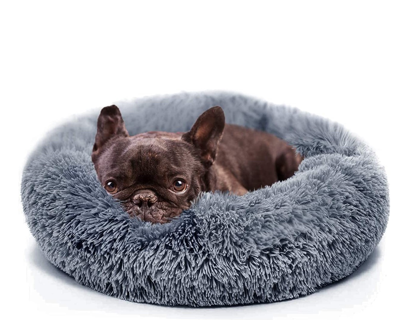 ����� �������