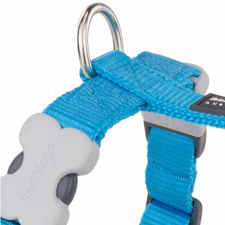 ������ ����� ��������